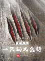 重生是一只貓又怎樣