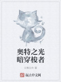 奧特之光暗穿梭者