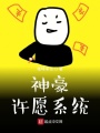 神豪許愿系統