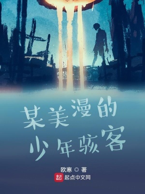某美漫的少年駭客