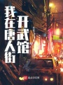 我在唐人街開(kāi)武館