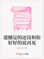遗憾是的还没和你好好的说再见