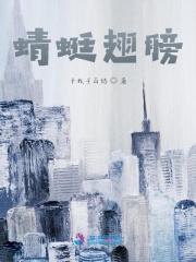 蜻蜓翅膀