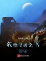 我給靈魂之書打工