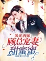 風光再嫁：顧總寵妻甜蜜蜜