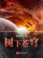 樹下蒼穹