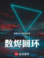 數燼回環