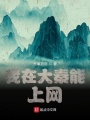 我在大秦能上網(wǎng)