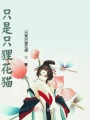 只是只貍花貓