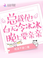 總裁他白天冷冰冰，晚上要親親