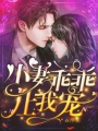 小妻乖乖讓我寵