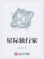 星際獨行家