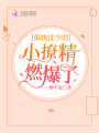 偏執沈少的小撩精燃爆了