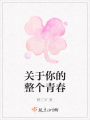 關于你的整個青春