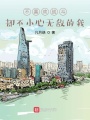 不喜歡戰斗，卻不小心無敵的我