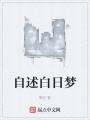 自述白日夢