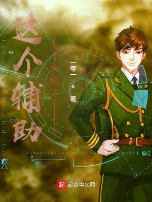 這個輔助太好了