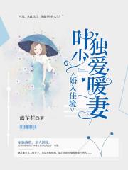 婚入佳境，葉少獨愛暖妻