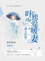 婚入佳境，葉少獨愛暖妻
