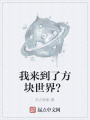我來(lái)到了方塊世界？