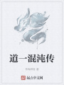 道一混沌传