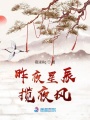 昨夜星辰攬夜風