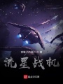 流星戰(zhàn)機
