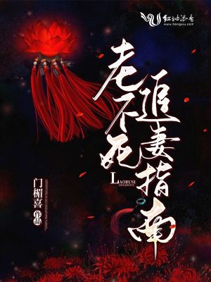 老不死追妻指南！