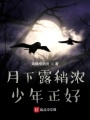 月下露稍濃，少年正好