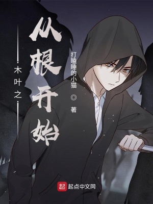 木葉之從根開(kāi)始