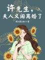 許先生，夫人又鬧離婚了