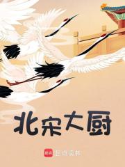 北宋大厨免费阅读，北宋大厨章节目录