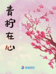 青檸在心