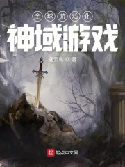 全球游戲化：神域游戲