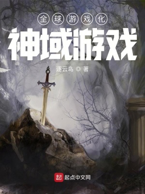 全球游戲化：神域游戲