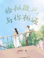 恰似微風與你相遇