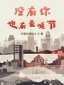 沒有你，也有圣誕節(jié)