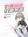 我加載了攻略系統