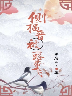 側(cè)福晉被一路帶飛