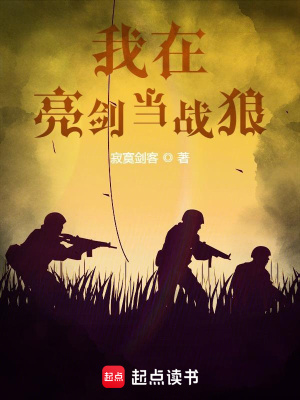 我在亮劍當戰狼