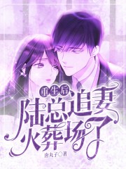重生后，陸總追妻火葬場了