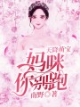 天降萌寶：媽咪你別跑