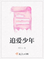 追愛少年