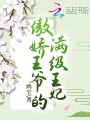 傲嬌王爺的滿級王妃