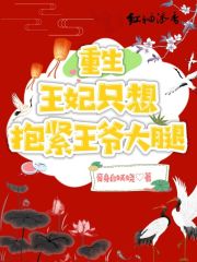 重生王妃只想抱緊王爺大腿