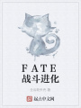 FATE戰(zhàn)斗進化