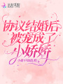 協議結婚后被寵成了小嬌嬌