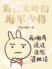 混在木葉的海軍少將