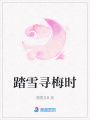 踏雪尋梅時