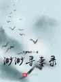 渺渺尋妻錄